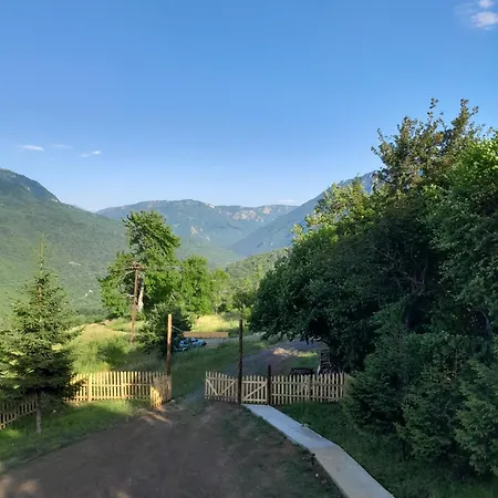 Wild Peace Vladimir * フォチャ