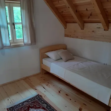 Wild Peace Vladimir フォチャ