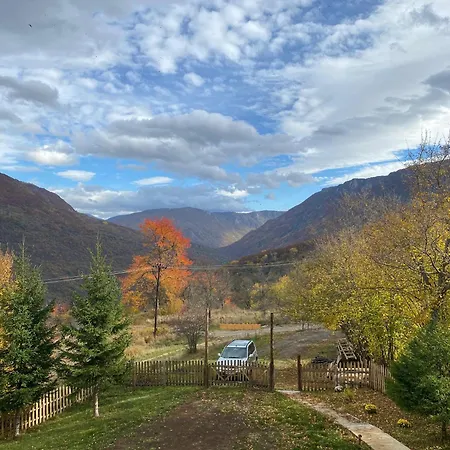 Wild Peace Vladimir * Foca