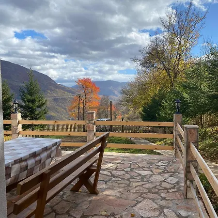 Wild Peace Vladimir Feriehus Foca