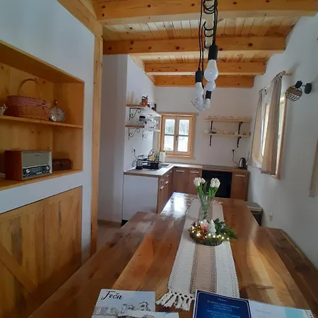 Wild Peace Vladimir Foca